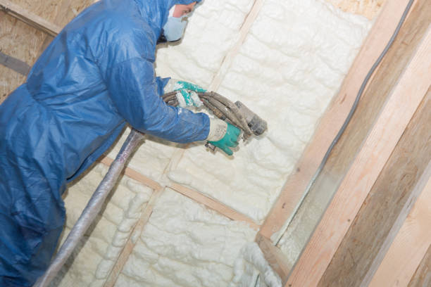 Best Reflective Insulation  in Youngstown, OH