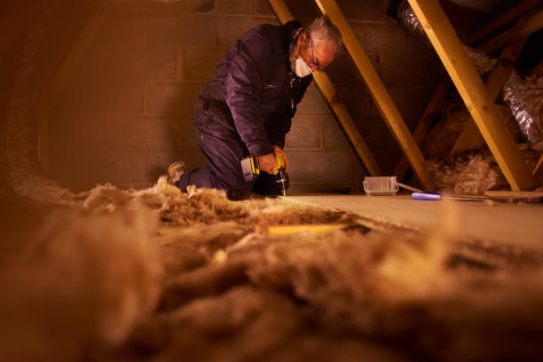 Best Eco-Friendly or Green Insulation Solutions  in Youngstown, OH