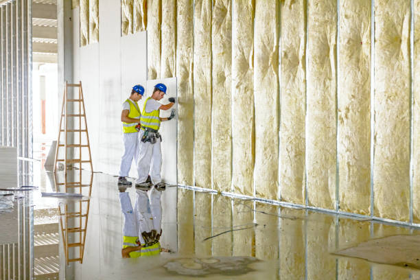 Best Insulation Replacement  in Youngstown, OH